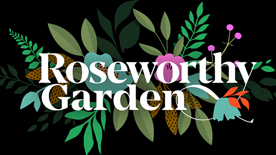 Roseworthy featured image